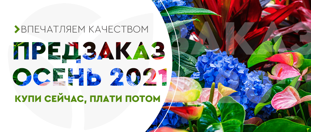 Предзаказ Сезон "Осень 2021" Предзаказ Сезон "Осень 2021"