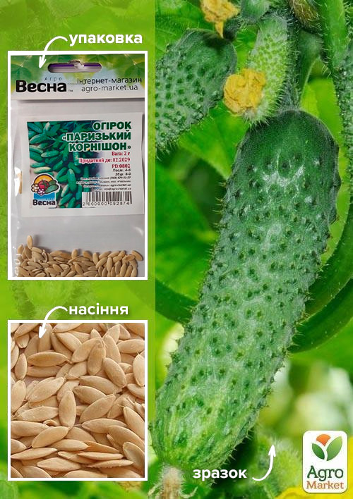 

Огурец Парижский корнишон (Зипер) ТМ Весна 2г