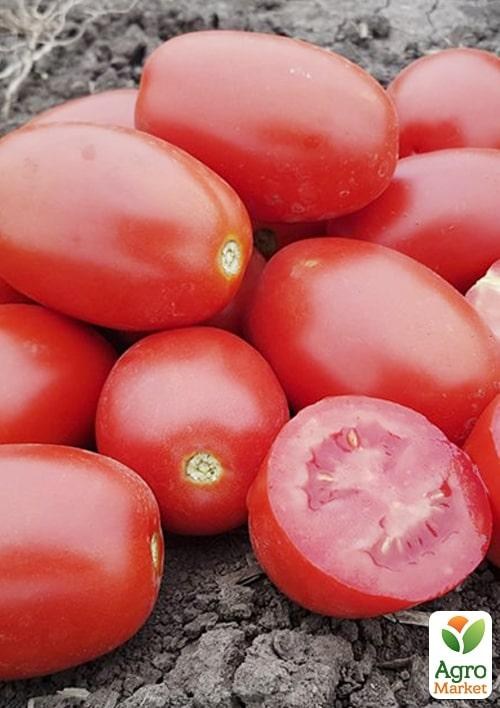 

Томат детерминантный "9905 F1" ТМ "Lark Seeds" 100000шт