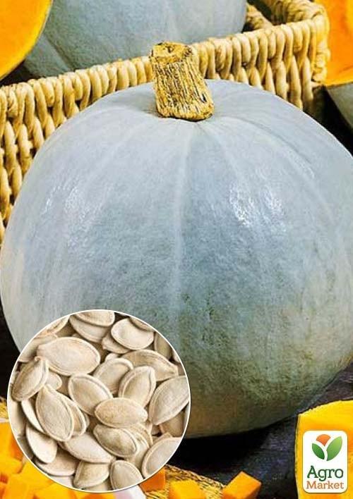 

На вагу Гарбуз Грибовський зимовий ТМ Весна ціна за 10г