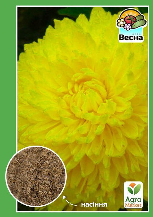 

Айстра Карликова жовта ТМ Весна 0.2г