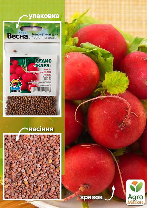 

Редис Жара (Зипер) ТМ Весна 7г