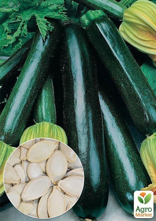 

На вагу Кабачок Чорний красень ТМ Весна ціна за 8г