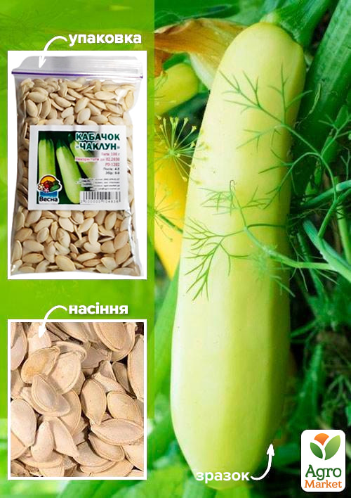 

Кабачок Чаклун ТМ Весна 100г