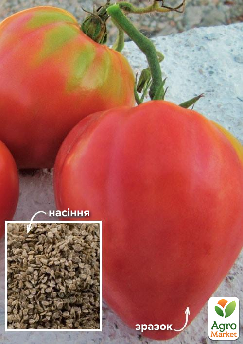 На развес Томат "Интрига" ТМ "Весна" цена за 1г