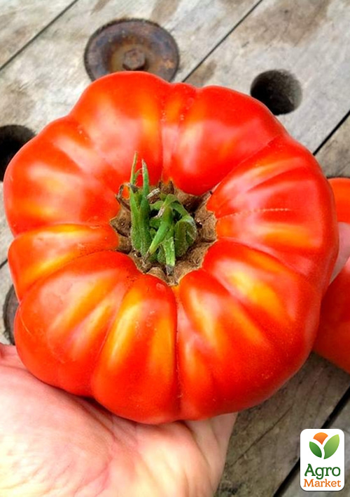 

Томат Гигант Бегемот ТМ Vesna Select 20шт