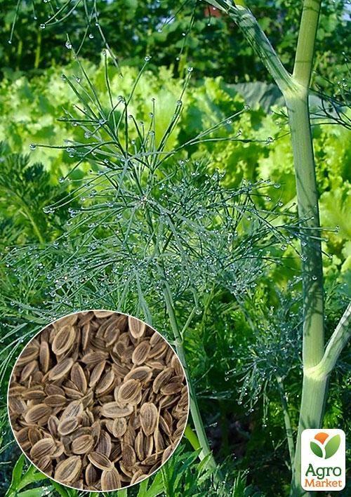 

На вагу Кріп Ажурний ТМ Весна ціна за 20г