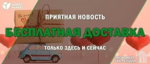 Акция! Поспешите воспользоваться бесплатной доставкой, пока действует акция Акция! Поспешите воспользоваться бесплатной доставкой, пока действует акция