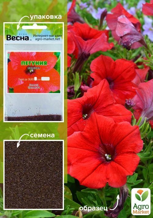 

Петуния Красная (Зипер) ТМ Весна 1г