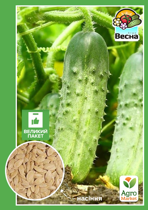 

Огірок Роднічок F1 (Великий пакет) ТМ Весна 1.5г