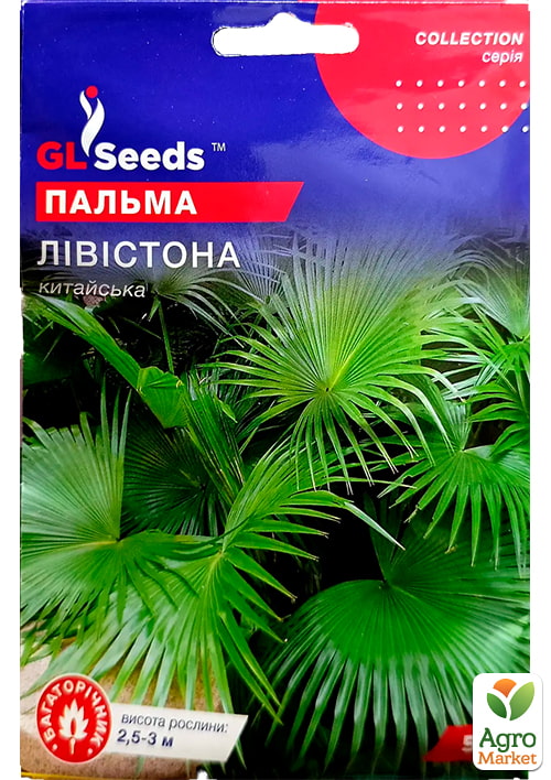 

Пальма китайская Ливистона ТМ GL SEEDS 5шт