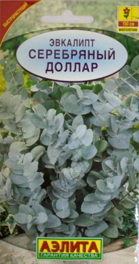 Эвкалипт "Серебряный доллар" ТМ "Аэлита" 5 шт купить почтой в Одессе ...