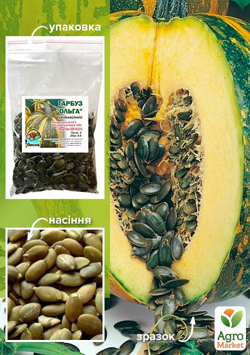 

Тыква Ольга ТМ Весна 100г