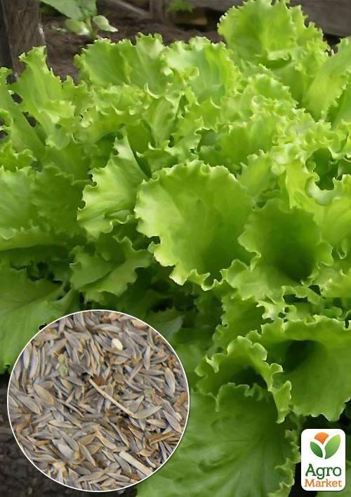 

На развес Салат Одесский кучерявец ТМ Весна цена за 7г