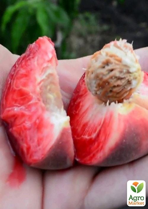 

Персик красном'ясий Ред Робін (Red Robin) (преміальний ранньо-осінній сорт)