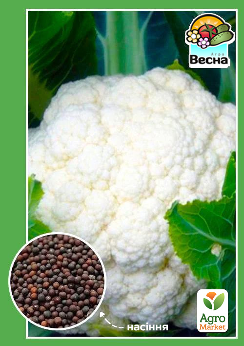 

Капуста цветная Ранний урожай ТМ Весна 0.3г