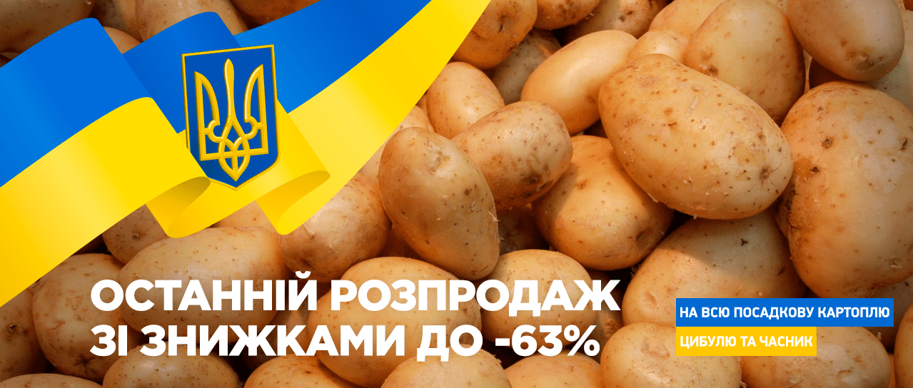 Цибуля, картопля та часник. Фінальний розпродаж до -63% Цибуля, картопля та часник. Фінальний розпродаж до -63%