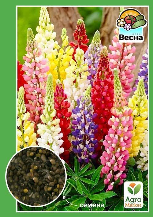 Люпин суміш ТМ "Яскрава" 1г