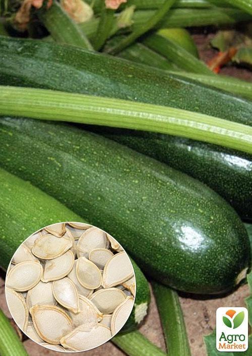 

На развес Кабачок Аэронавт ТМ Весна цена за 8г