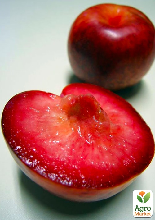 

Ексклюзив! Гібрид сливи-абрикоса Плуот (Dapple Dandy)