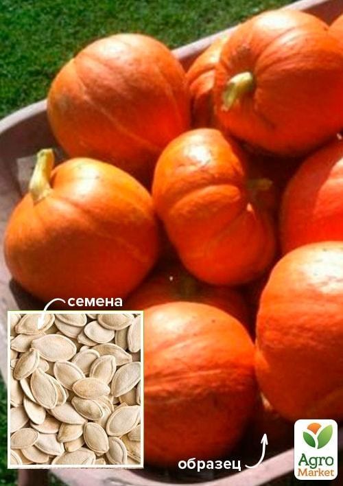 

Тыква Французский деликатес ТМ Весна 100г