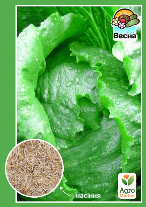 

Салат качанний Айсберг ТМ Весна 0,5г