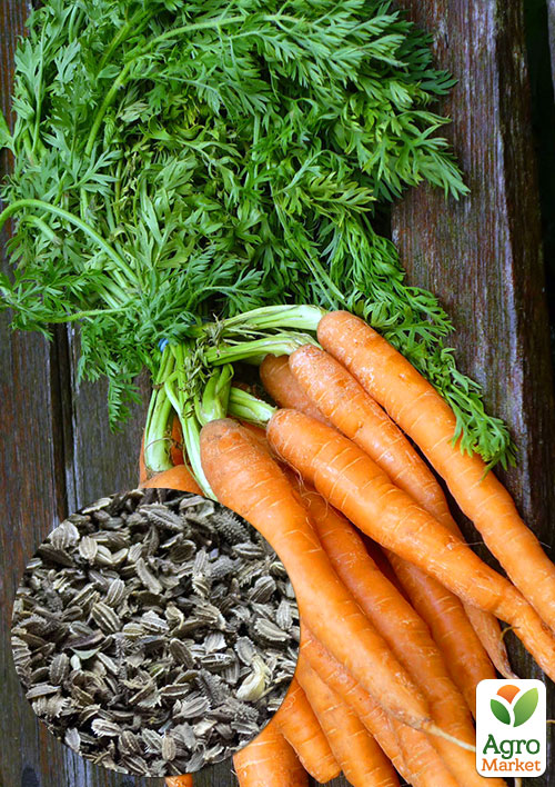 

На вагу Морква Перший збір ТМ Весна ціна за 10г