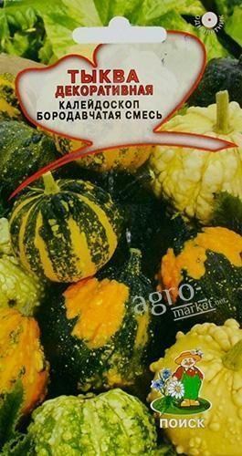 Тыква декоративная "Калейдоскоп бородавчатая смесь" ТМ "ПОИСК" 5шт