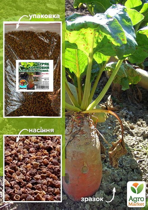 

Буряк кормовий Київський Рожевий ТМ Весна 500г