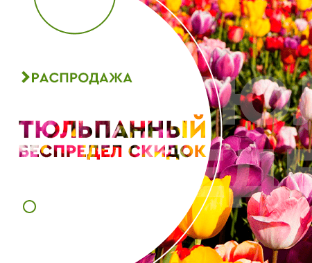 Тюльпанный беспредел скидок Тюльпанный беспредел скидок
