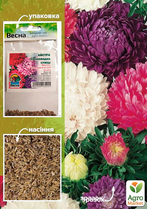 

Астра Пионовидная смесь (Зипер) ТМ Весна 0,5г