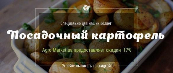 Agro-Market.ua предоставляет скидки -17% на посадочный картофель Agro-Market.ua предоставляет скидки -17% на посадочный картофель