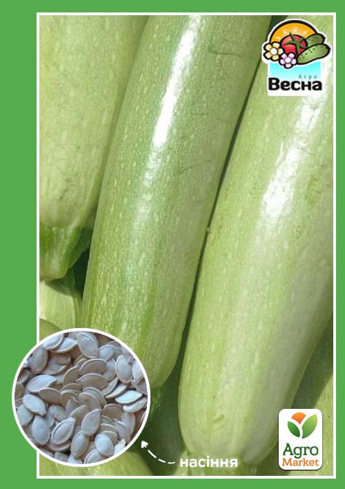 

Кабачок Белоплодный ТМ Весна 2г