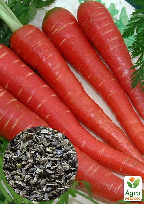 

На развес Морковь Мармеладка ТМ Весна цена за 10г