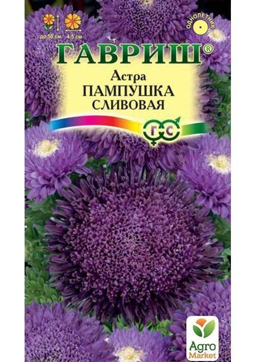 

Астра "Пампушка сливовая" ТМ "Гавриш" 0.3г