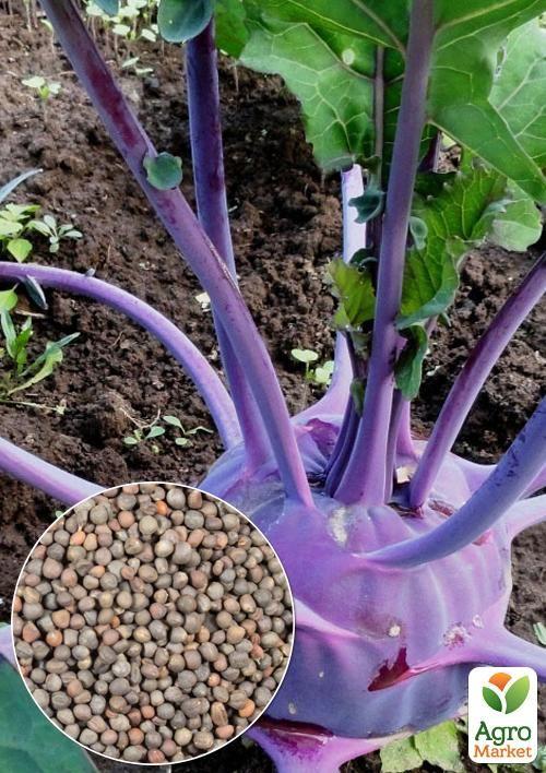 На вагу Капуста кольрабі "Віолетта" ТМ "Весна" ціна за 2г