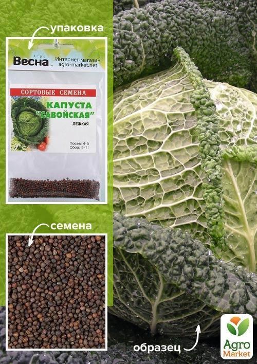 

Капуста Савойская (Зипер) ТМ Весна 1г