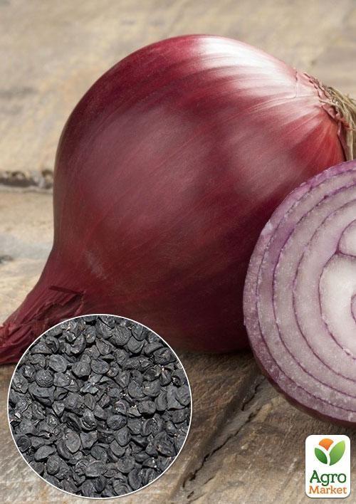 

На развес Лук красный Рубин ТМ Весна цена за 5г