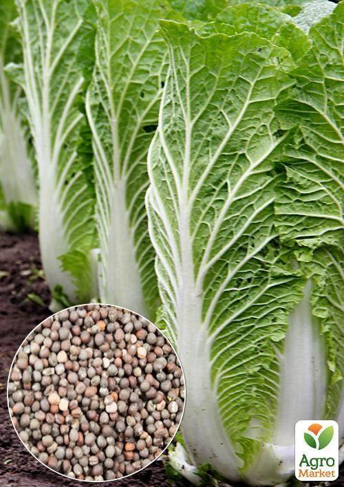 На развес Капуста пекинская "Поздняя красавица" ТМ "Весна" цена за 2г