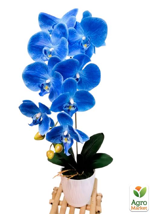 Орхідея синьо-блакитна штучна латексна (16219)