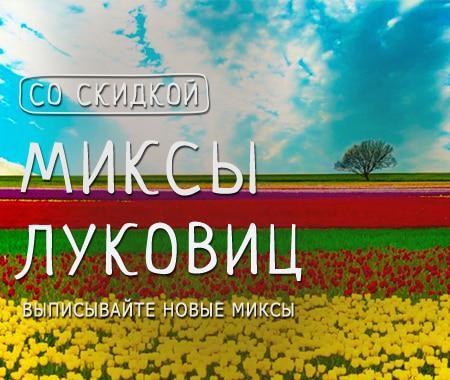 Акция! Выписывайте выгодно миксы популярных луковиц со скидкой -10% Акция! Выписывайте выгодно миксы популярных луковиц со скидкой -10%