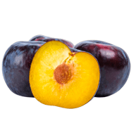 Диплоидная слива Диплоидная слива