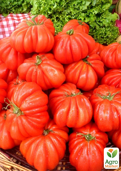 

Томат Beauty Lottringa ТМ Vesna Select 20шт