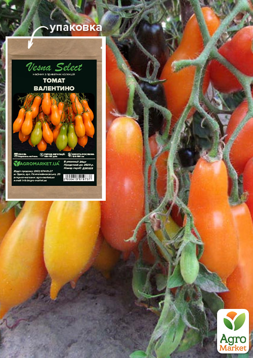 

Томат Валентино ТМ Vesna Select 20шт