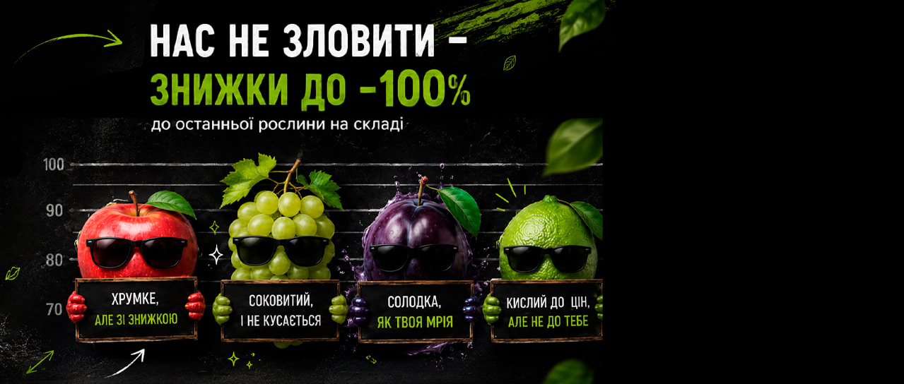 Знижка -100% до останньої рослини!