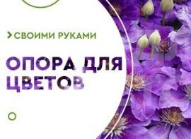 Опора для клематису своїми руками - корисні статті про садівництво від Agro-Market