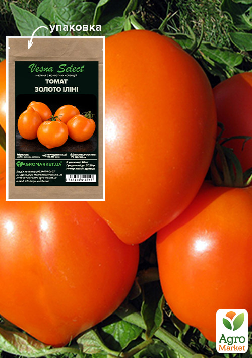 

Томат Золото Іліні ТМ Vesna Select 20шт