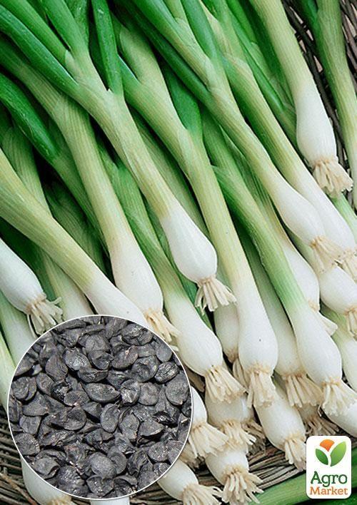 На развес Лук на зелень "Токио" ТМ "Весна" цена за 3г