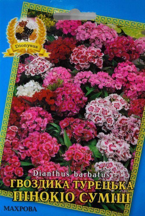 Гвоздика турецька суміш "Пінокіо" ТМ "Dionysus" 0.3г