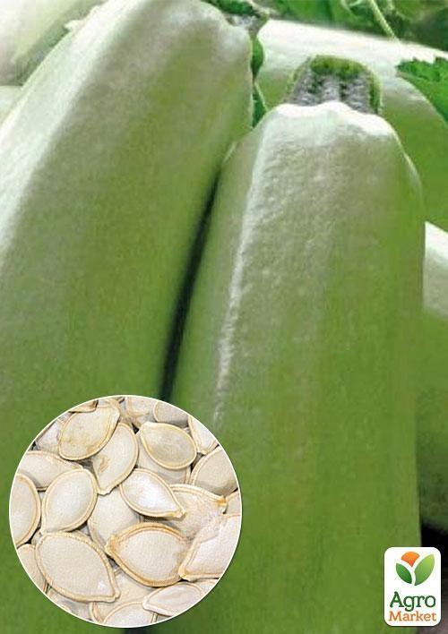 

На развес Кабачок Одесский ТМ Весна цена за 8г